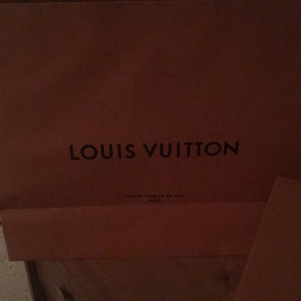 Authentic Louis Vuitton Mens High Top Sneakers